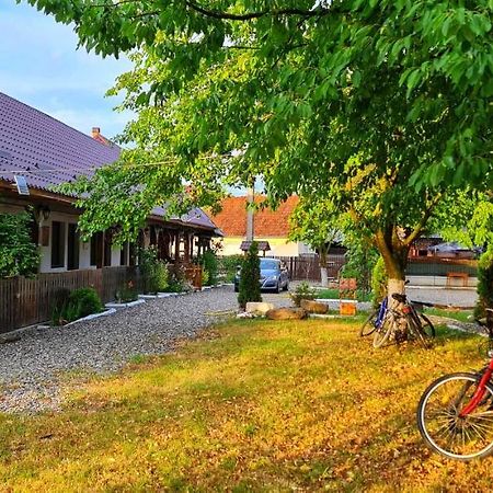 La Romaneasa Săpînţa Extérieur photo