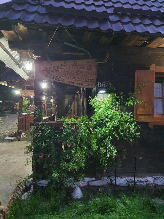 La Romaneasa Săpînţa Extérieur photo