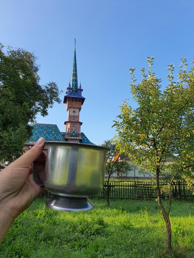 La Romaneasa Săpînţa Extérieur photo