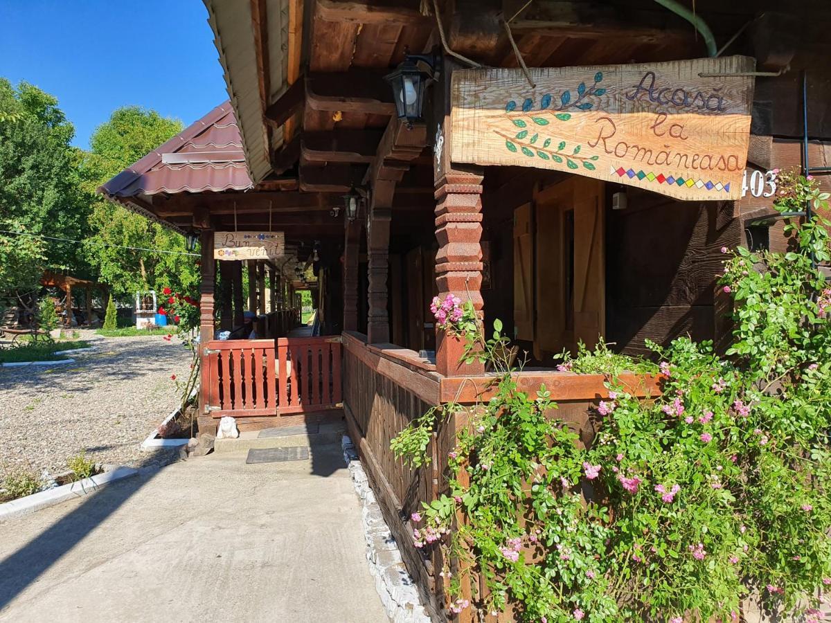 Hotel La Romaneasa à Săpînţa Extérieur photo