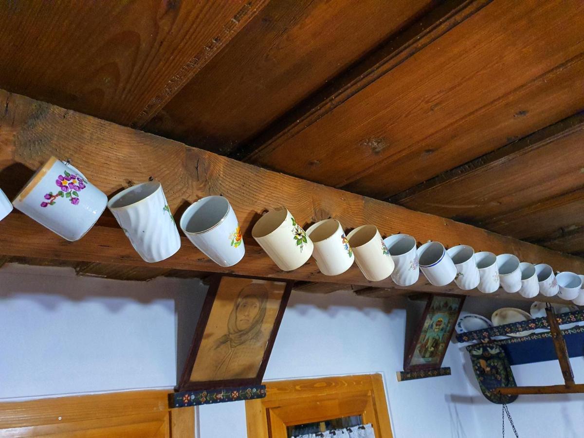 La Romaneasa Săpînţa Extérieur photo