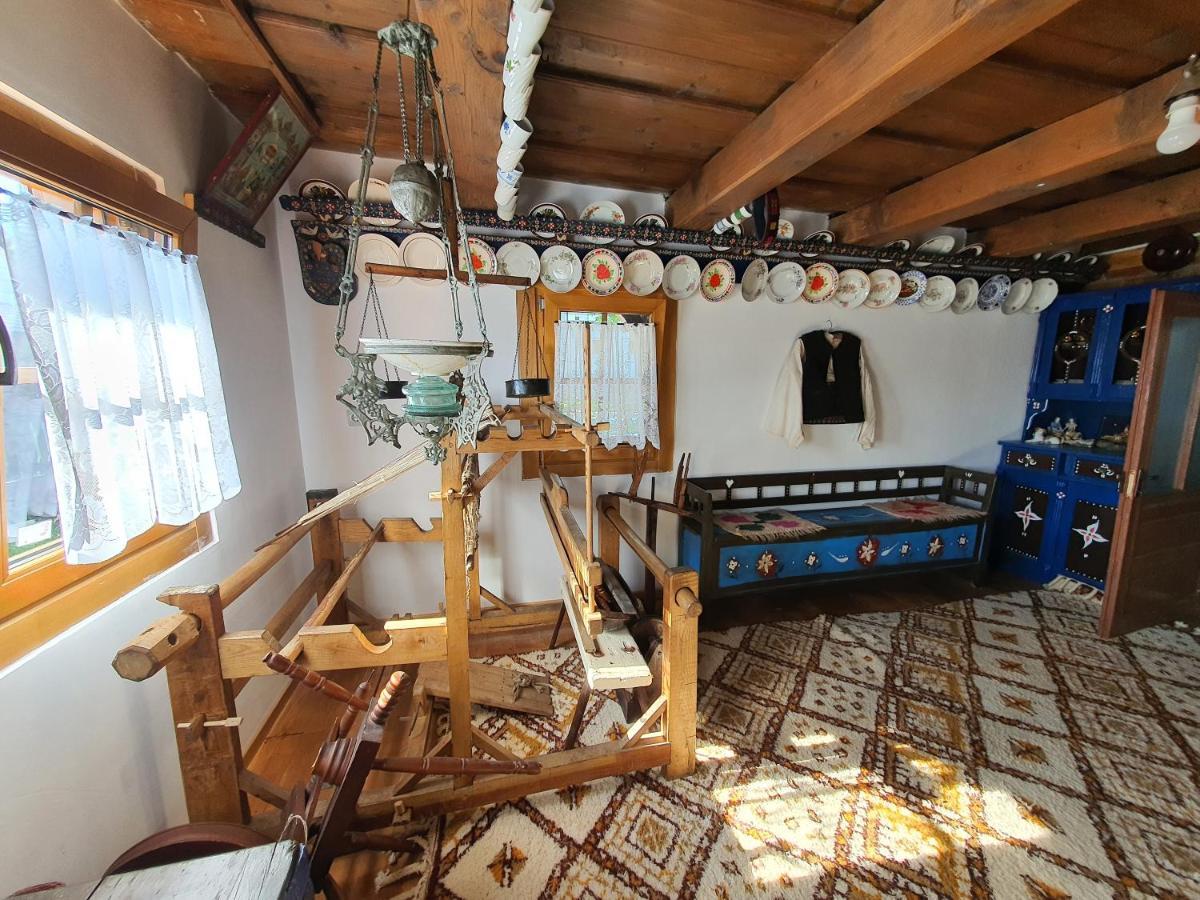 La Romaneasa Săpînţa Extérieur photo
