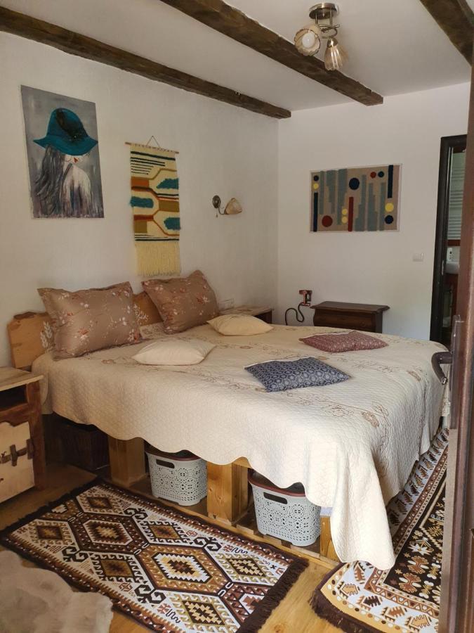 La Romaneasa Săpînţa Extérieur photo