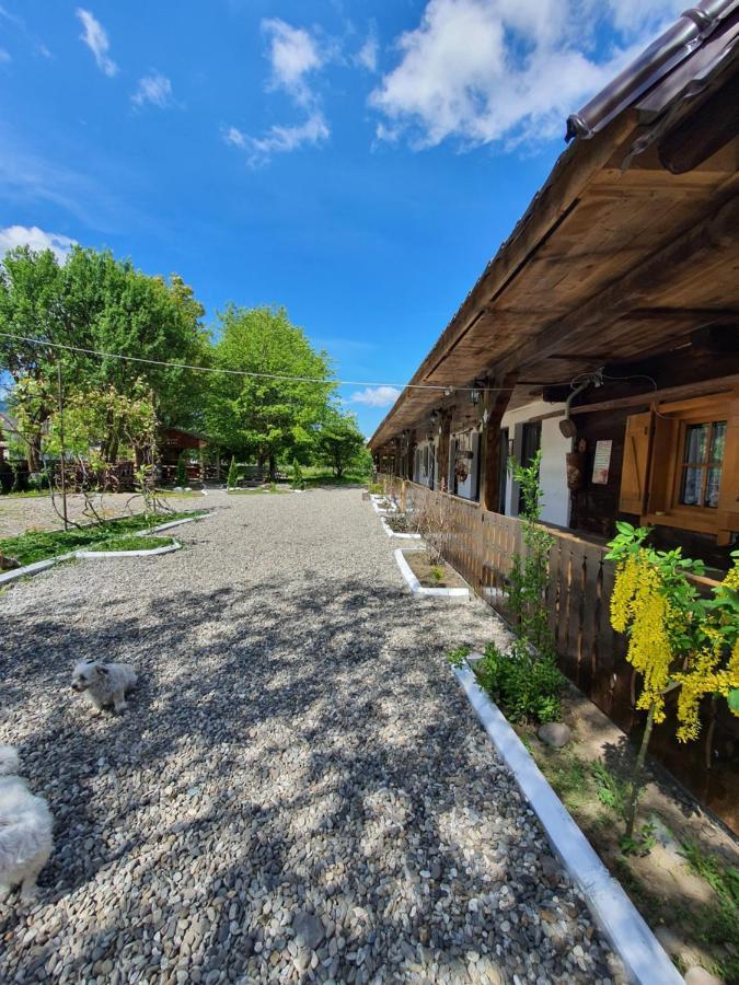 Hotel La Romaneasa à Săpînţa Extérieur photo