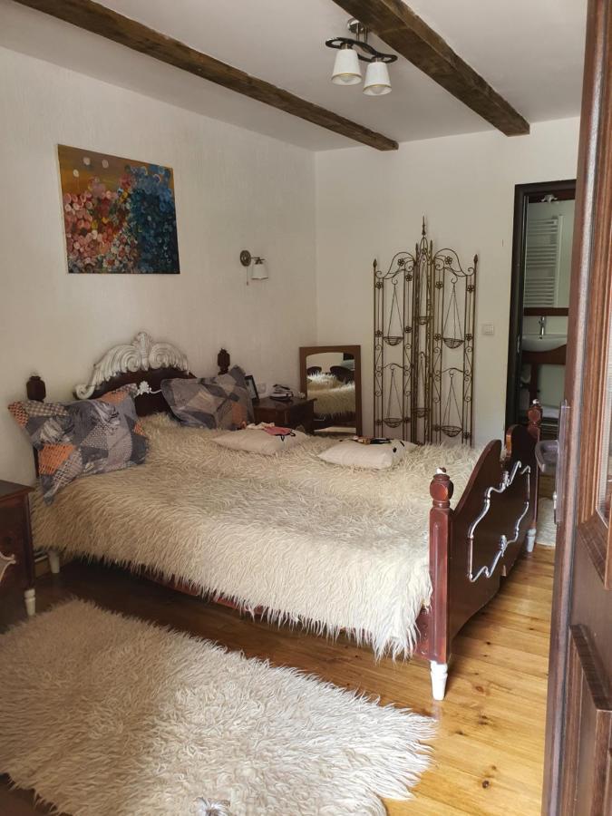 La Romaneasa Săpînţa Extérieur photo