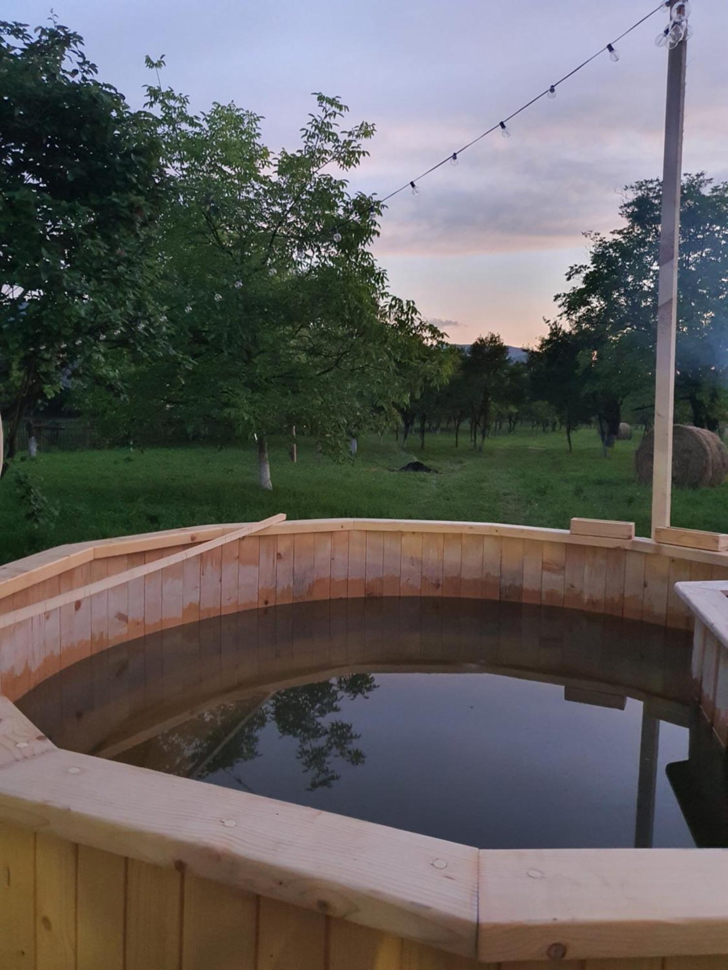 La Romaneasa Săpînţa Extérieur photo