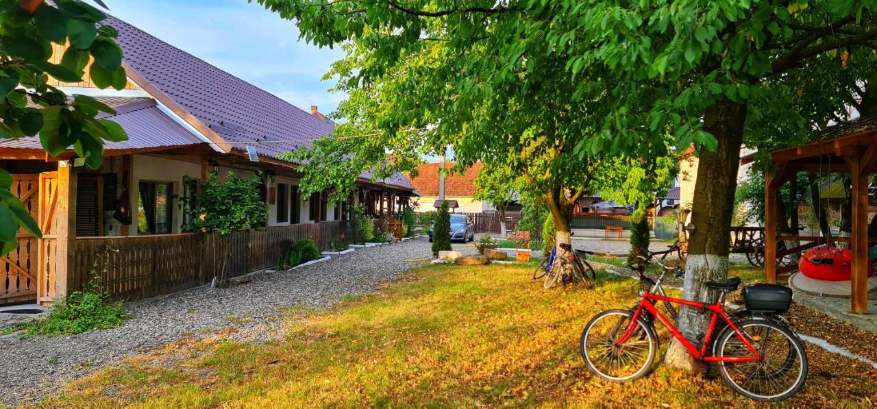 Hotel La Romaneasa à Săpînţa Extérieur photo