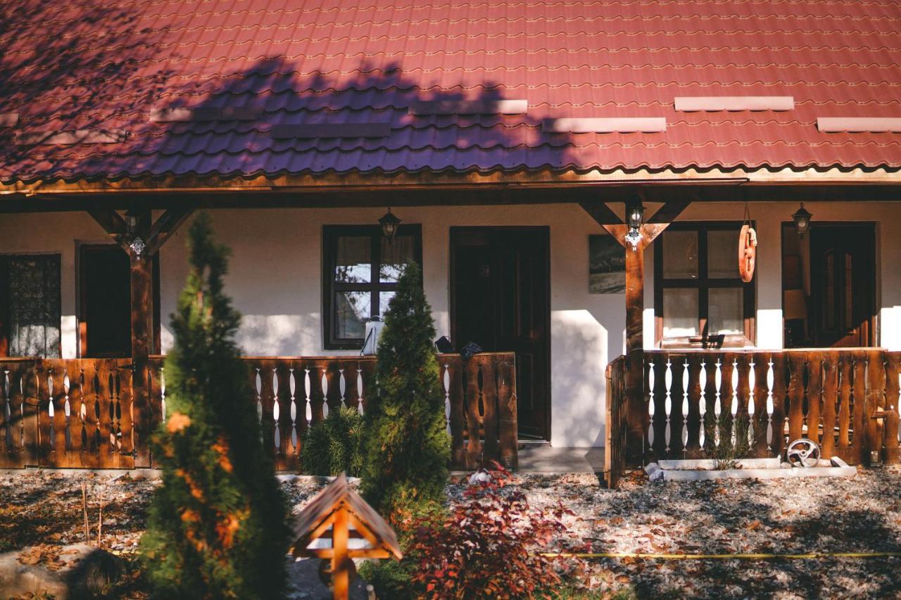 Hotel La Romaneasa à Săpînţa Extérieur photo