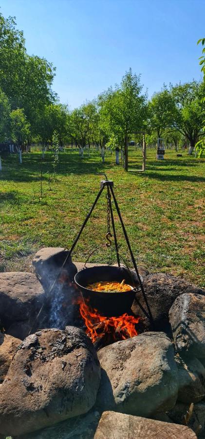 La Romaneasa Săpînţa Extérieur photo