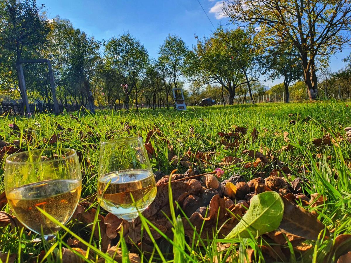 La Romaneasa Săpînţa Extérieur photo