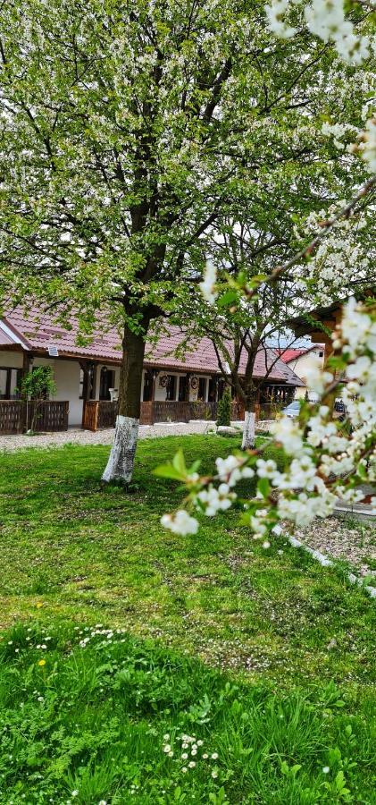 Hotel La Romaneasa à Săpînţa Extérieur photo