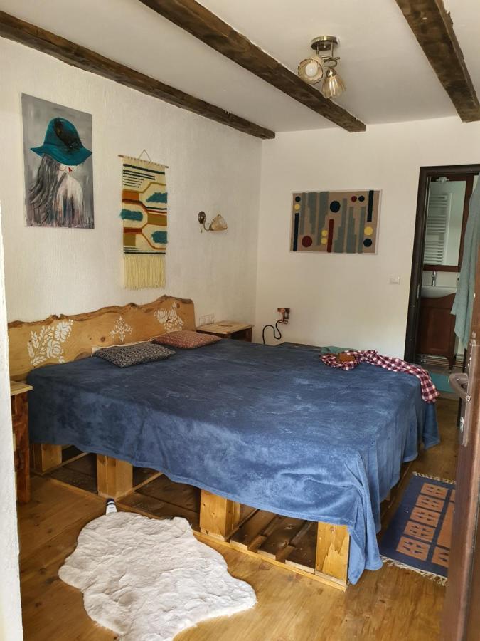 La Romaneasa Săpînţa Extérieur photo