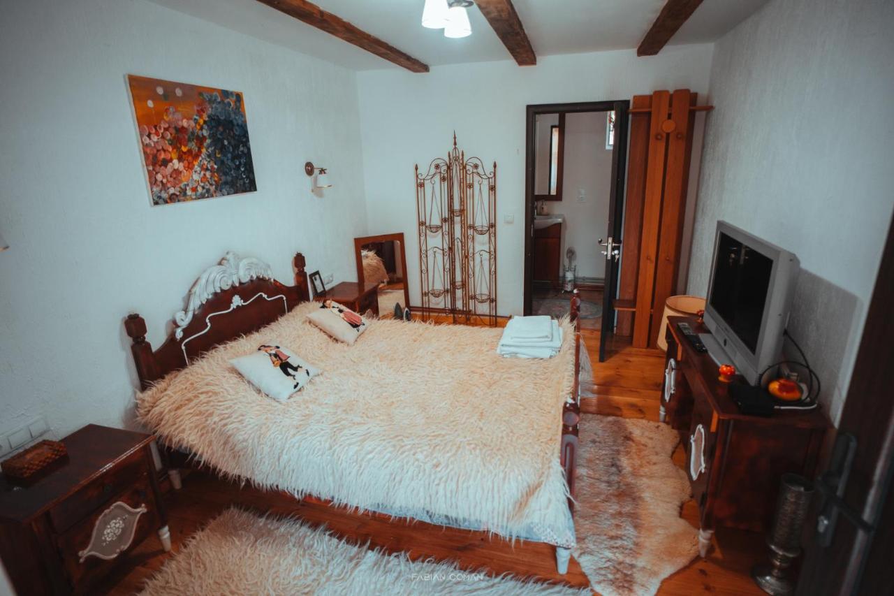 La Romaneasa Săpînţa Extérieur photo